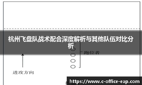 杭州飞盘队战术配合深度解析与其他队伍对比分析