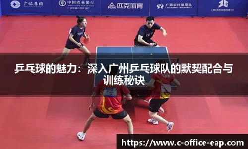 乒乓球的魅力：深入广州乒乓球队的默契配合与训练秘诀