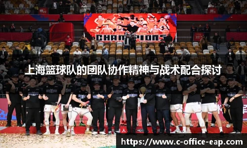 上海篮球队的团队协作精神与战术配合探讨